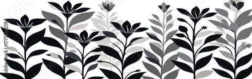 Floral silhouettes in black, white, and grayscale, high contrast, clean, symmetrical, noise‑free, elegant for premium abstract visuals.

