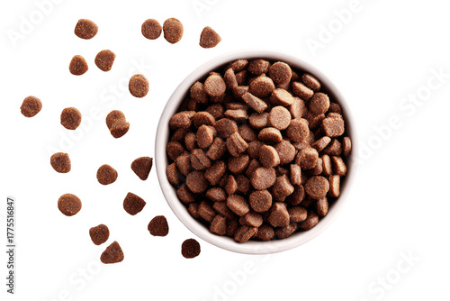 Small white bowl filled with dog food kibble, surrounded by scattered kibble