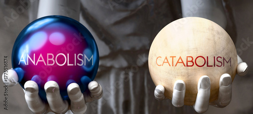 Bild auf Leinwand Anabolism or Catabolism - decide between two options