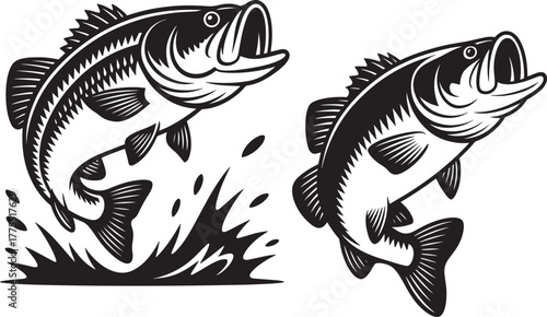 Two leaping black bass fish with water splashes jumping