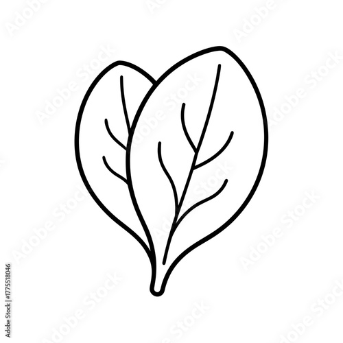 Two simple outline spinach leaves image silhouette