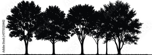 Black silhouette illustration of five deciduous trees in a row—dense foliage, natural symmetry, landscape design, botanical sketch, nature concept