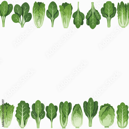 Illustration of various green leafy vegetables arranged in borders.