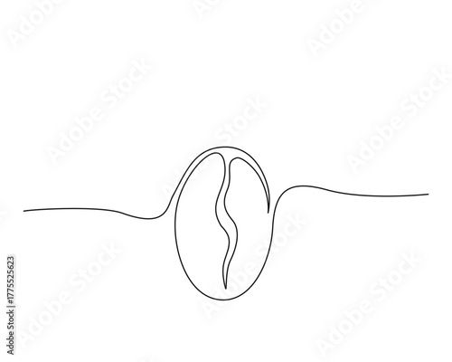 Continuous one line drawing of coffee beans. Roasted ccoffee beans line art vector illustration. Editable stroke.