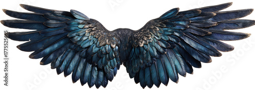 Detailed image of spread bird wings