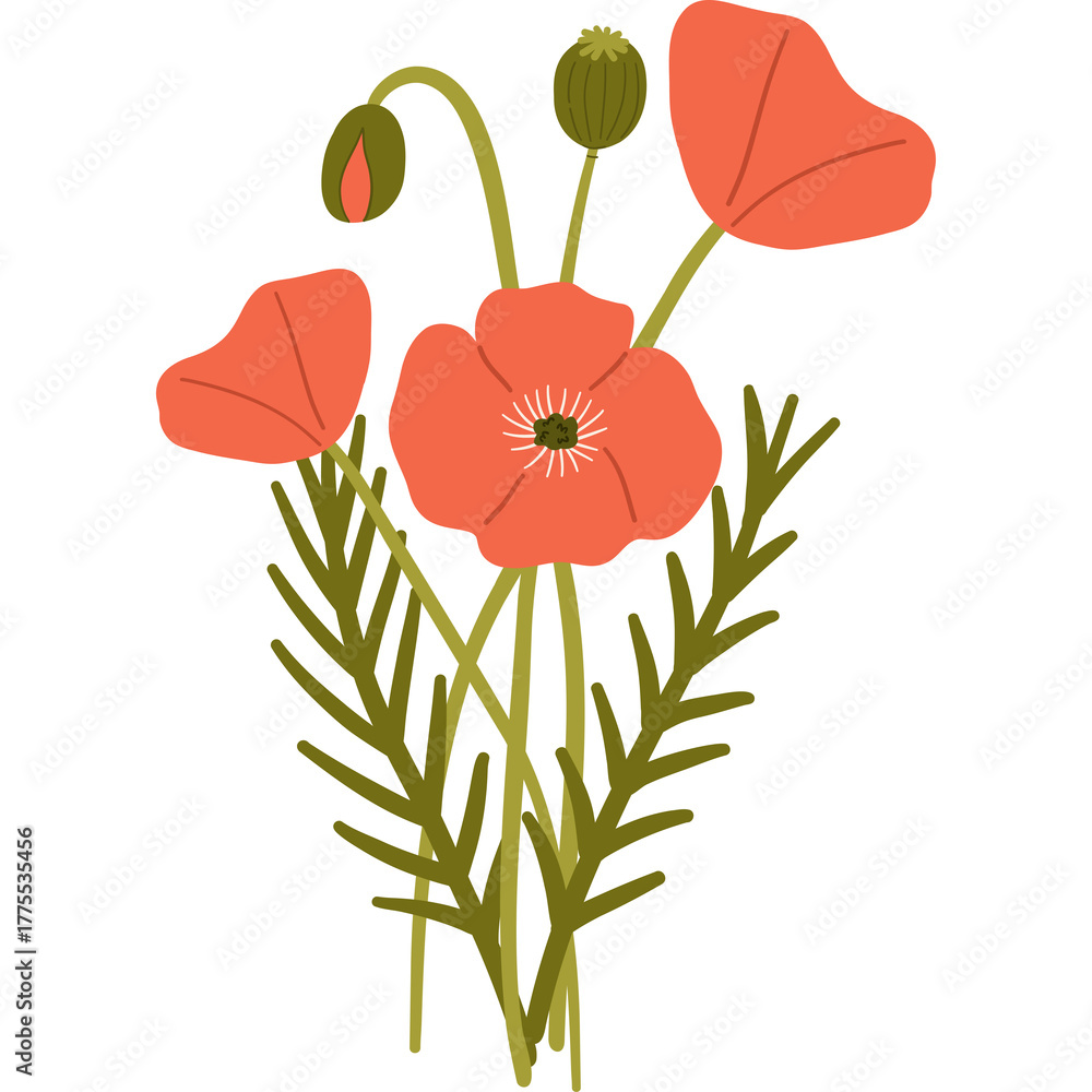 Naklejka premium Delicate coral poppies with green stems and buds on a transparent background a simple botanical illustration with soft lighting and natural colors symbolizing spring and growth