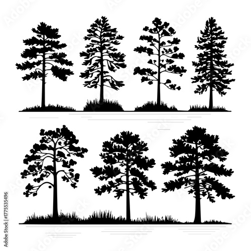 ?Architectural landscape drawing in minimal CAD style ? clean black linework, side view of various wetland forest trees (such as cypress, willow, mangrove, alder, etc.), .eps