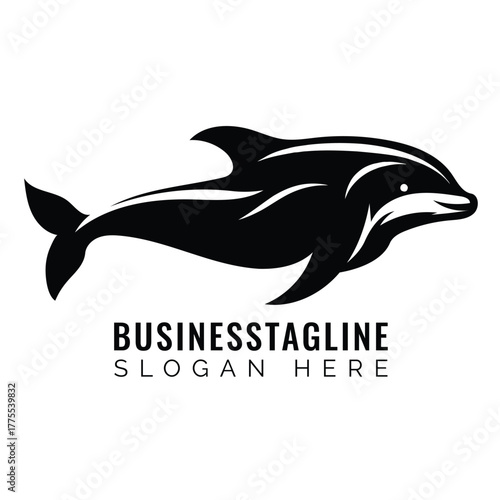 Black dolphin swimming white water