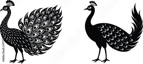 silhouette of a peacock,Minimal peacock bird vector silhouette...