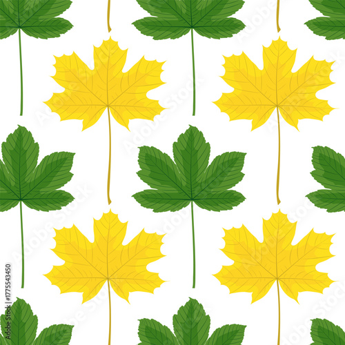 Autumn Maple Sycamore Tree Leaves Seamless Pattern