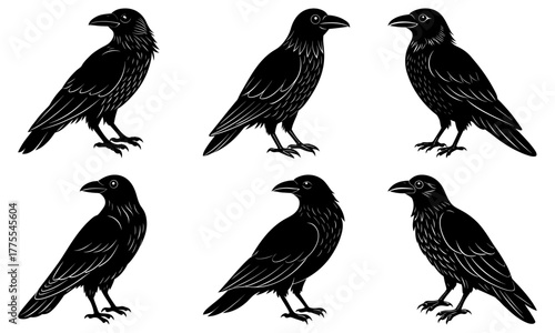 Mysterious ravens flock together, a symbol of wisdom, magic, and transformation, perfect for gothic designs, Halloween themes, and nature illustrations