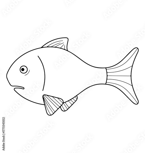 Fish Line Art Outline Vector Drawing for Coloring or Seafood
