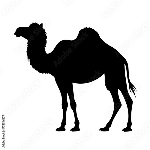 Silhouette of dromedary camel in black and white for striking visuals. Dromedary camel shows strength and resilience in simple form. Use this dromedary camel silhouette for impactful designs.
