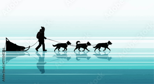 Man walking three dogs while pulling sled across icy surface  