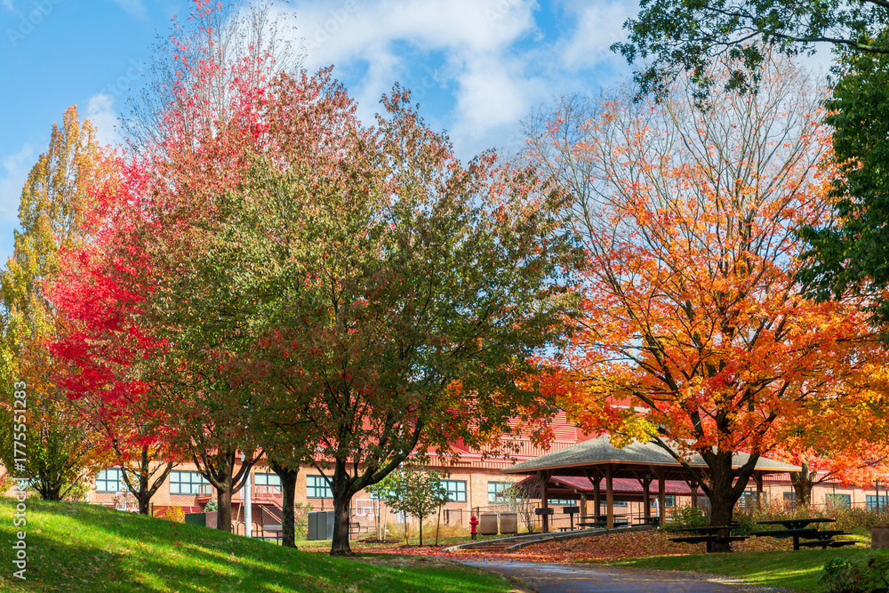 Naklejka premium Vibrant autumn trees with colorful foliage in Arsenal Park in Watertown, Massachusetts, USA