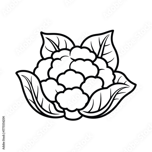 Simple line drawing of a cauliflower vegetable with leaves