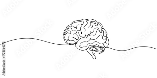 Continuous one line drawing of human brain. Hand drawn minimalism style. Editable stroke