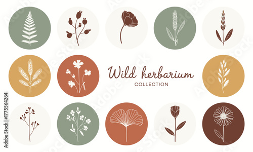 Collection of Wild Herbarium Floral Illustrations in Circles.