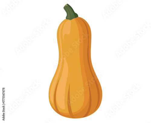 A vibrant illustration depicting a single ripe butternut squash in isolation