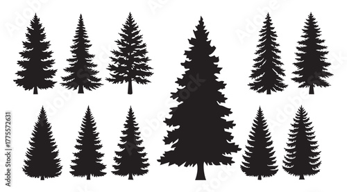 Collection of assorted black silhouette evergreen trees arranged against a stark white backdrop, showcasing different shapes and sizes in a classic, graphic style