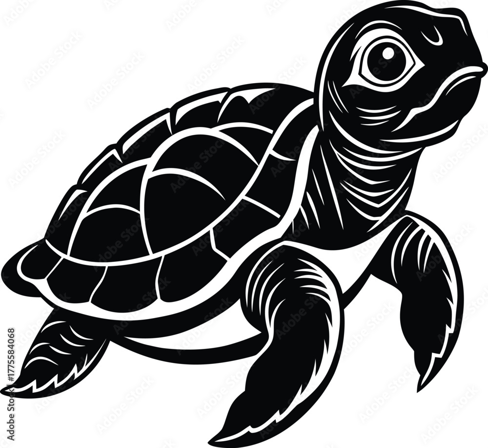 Fototapeta premium turtle-hatchling-on-white-background.eps