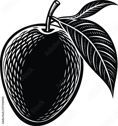 fresh-mango-fruit-vector-illustration-on-white-bac (1).eps