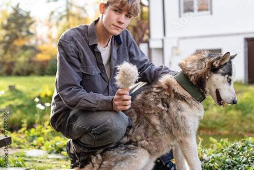 Young caucasian teen with husky dog outdoors holding fur brush. Child earning pocket money by taking care of pets, early work experience, responsibility and independence
