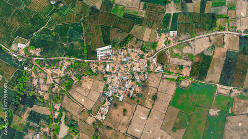 wide drone view of an Indian village surrounded by vast farmland and greenery, capturing rural lifestyle, agricultural landscape, and countryside development.