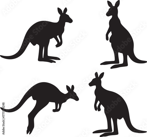 Set of silhouette kangaroo transparent