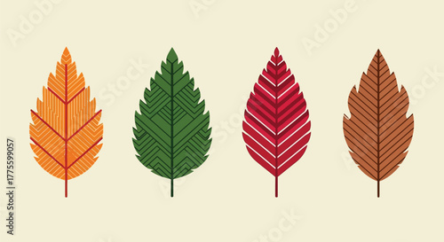 Autumn Leaves Set in Four Colors Vector Illustration