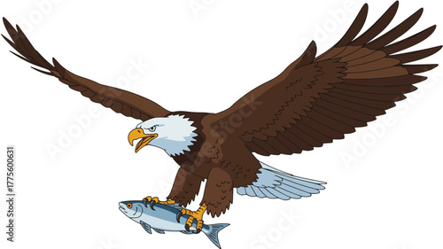 Bald eagle flying with a fish