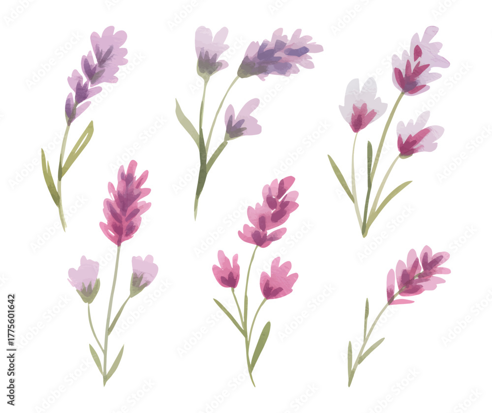 Obraz premium Minimal watercolor floral sprigs with romantic spring blossoms. watercolor wildflower pastel pink and violet tones.