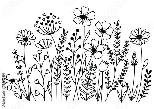 Hand drawn floral botanical vector illustration, Wildflower Meadow outline drawing, Botanical flowers line art, Leaves, Herbs, Garden Flower on white Background, Invitation, Wedding card.