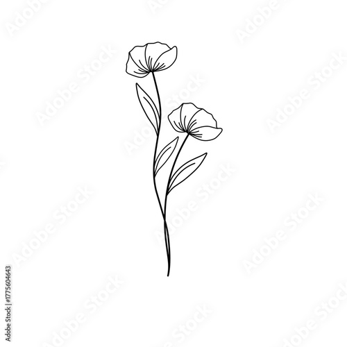 Minimalist line art flower illustration. Minimalist flower illustration. Flower vector illustration. Beautiful flower design
