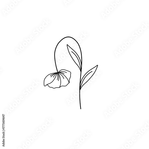 Minimalist line art flower illustration. Minimalist flower illustration. Flower vector illustration. Beautiful flower design
