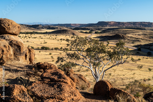 Eindrücke im Damaraland