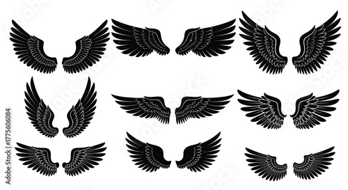 Set of detailed wings various shapes and styles tattoo and graphic elements