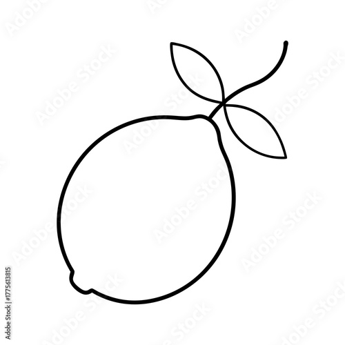 Single Lemon with a Couple of Leaves Attached