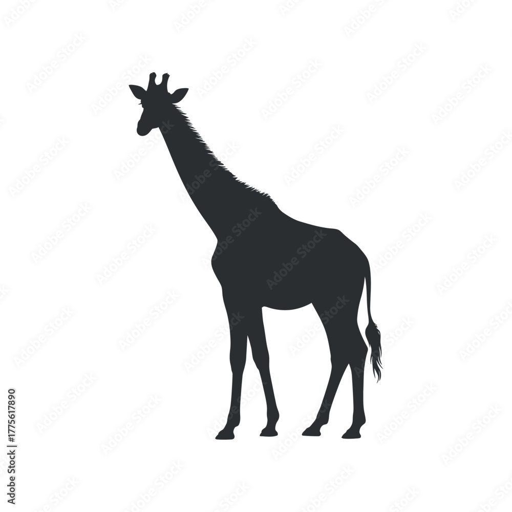 Fototapeta premium Giraffe Silhouette Vector Illustration Tall Animal Design
