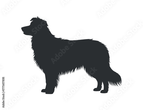 Border Collie Silhouette: Dog Vector on Transparent Backdrop