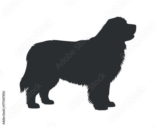 Newfoundland Dog Silhouette Vector Illustration