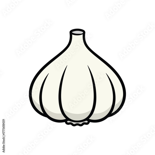 Garlic Bulb – Fresh Cooking Ingredient Vector Illustration