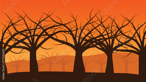 Dry trees in a valley in Africa, sunset landscape, African savannah