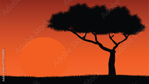 African savanna grasslands and trees Sunset view African savanna