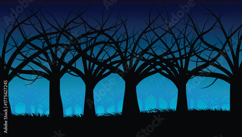 Night Darkness Dry Trees in Autumn Savannah in Africa Night Scenery