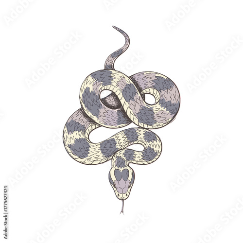Illustrated snake coiled with gray and beige patterns on white background  