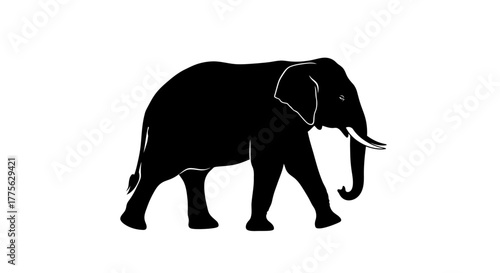 Silhouette of an elephant walking, showcasing its large size and distinctive features.