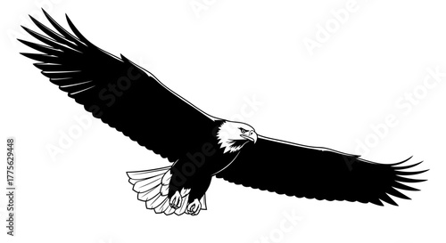 Illustration of a bald eagle in flight with wings spread wide, showcasing its majestic appearance.