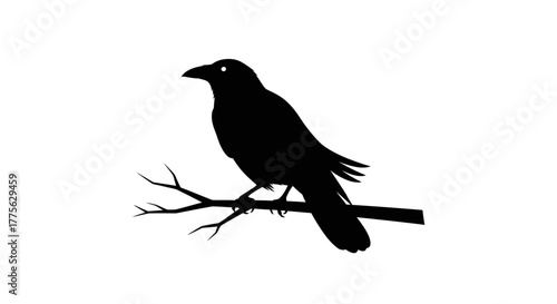 Silhouette of a crow perched on a branch against a white background.