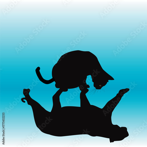 Black cat looking at its reflection and seeing a black panther.eps